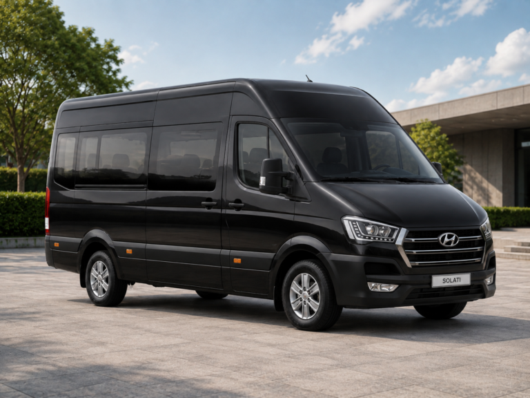 MINIBUS 16S+ Hyundai Solati vehicle class