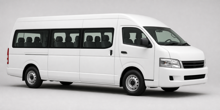 MINIBUS 18S Ford Premium+ vehicle class