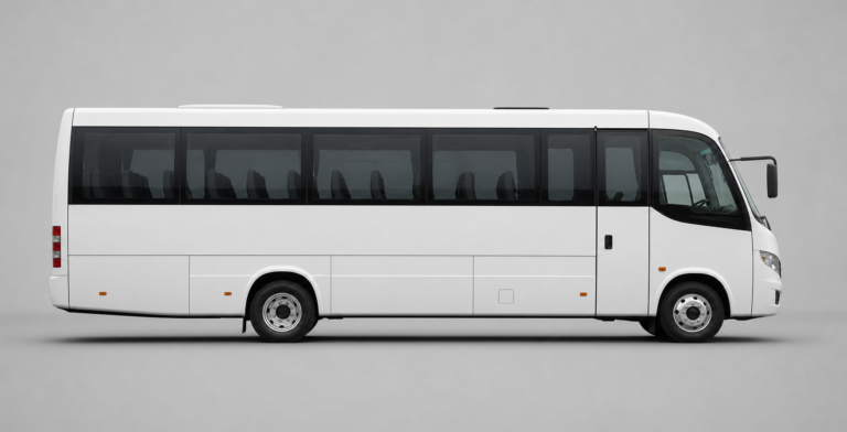 MIDI COACH 29S Hyundai/Thaco vehicle class