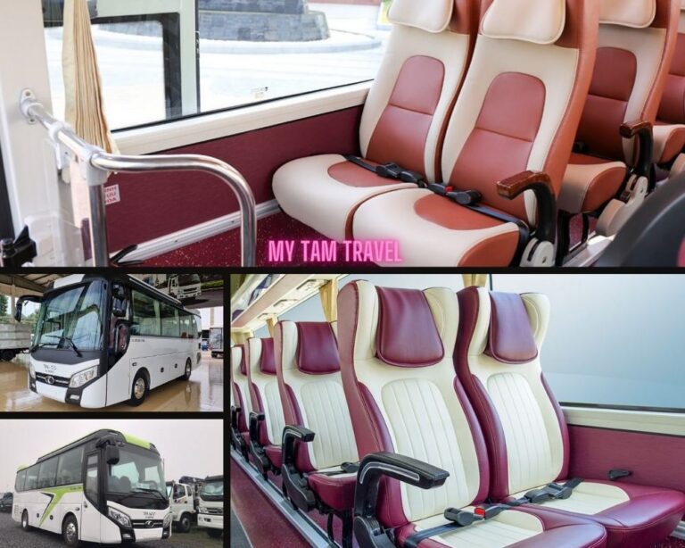 MIDI COACH 29S Hyundai/Thaco vehicle class